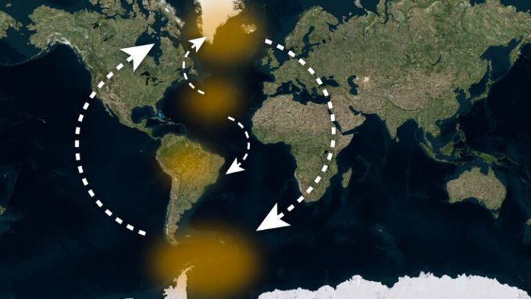 De Groenlandia a la Amazonía: la cadena de interacciones de la que puede depender el futuro del planeta