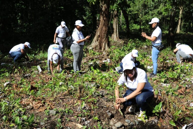 Empleados de Contraloría participan en jornada de reforestación